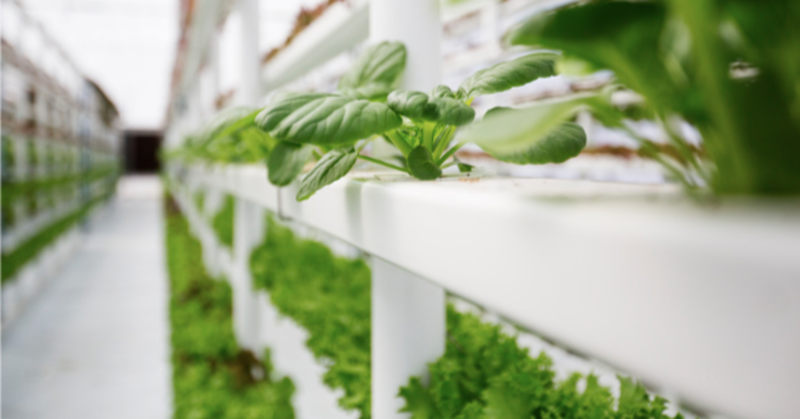 シンガポールで食糧自給は進むのか?（下）「近年の食料自給に向けた先進的な取り組み」