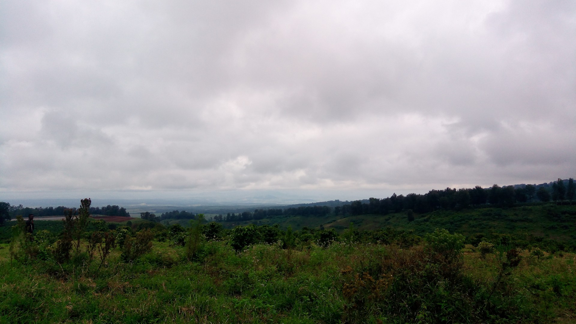 タンザニアの新農園について~TANJA農園の歴史と、Ngorongoro coffeeいよいよ日本上陸間近!