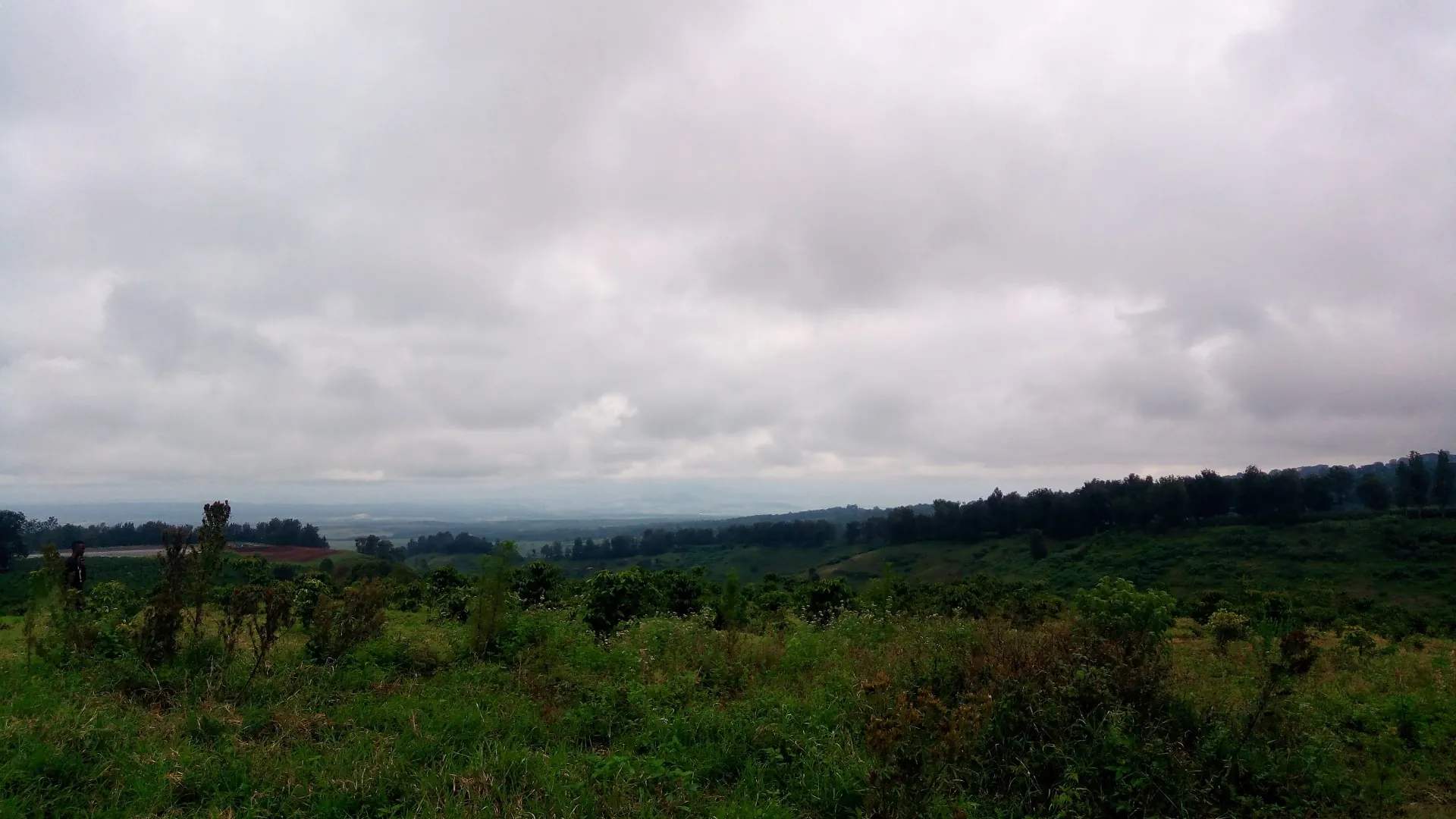 タンザニアの新農園について～TANJA農園の歴史と、 Ngorongoro coffeeいよいよ日本上陸間近！