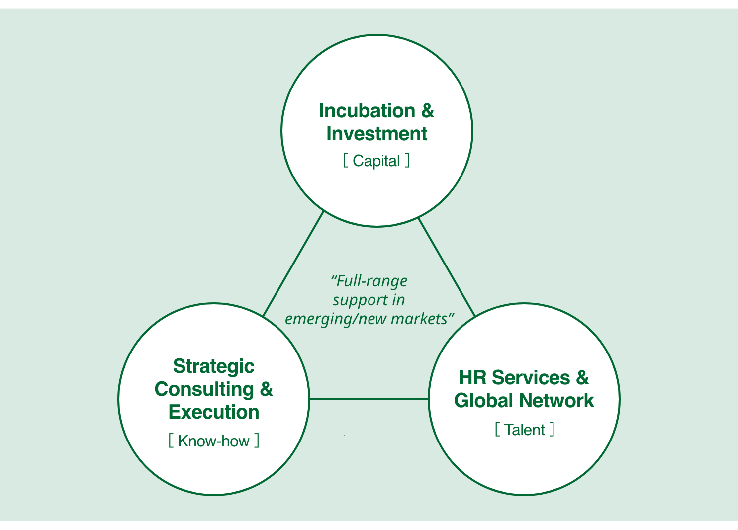 AAIC事業モデル図