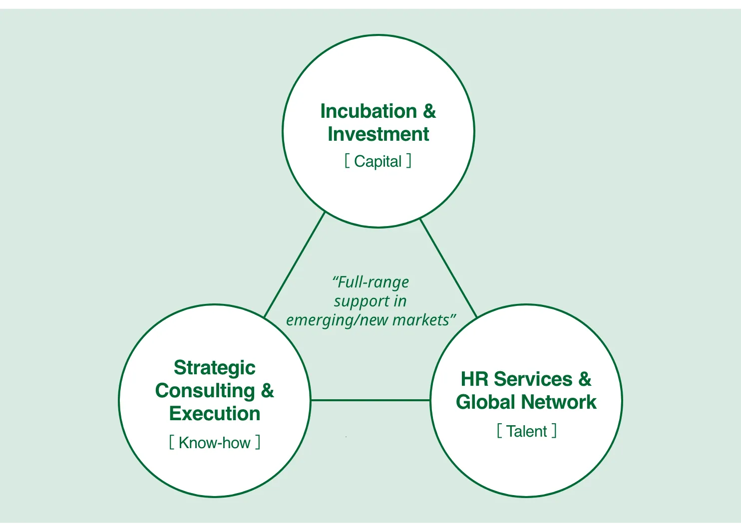 AAIC事業モデル図
