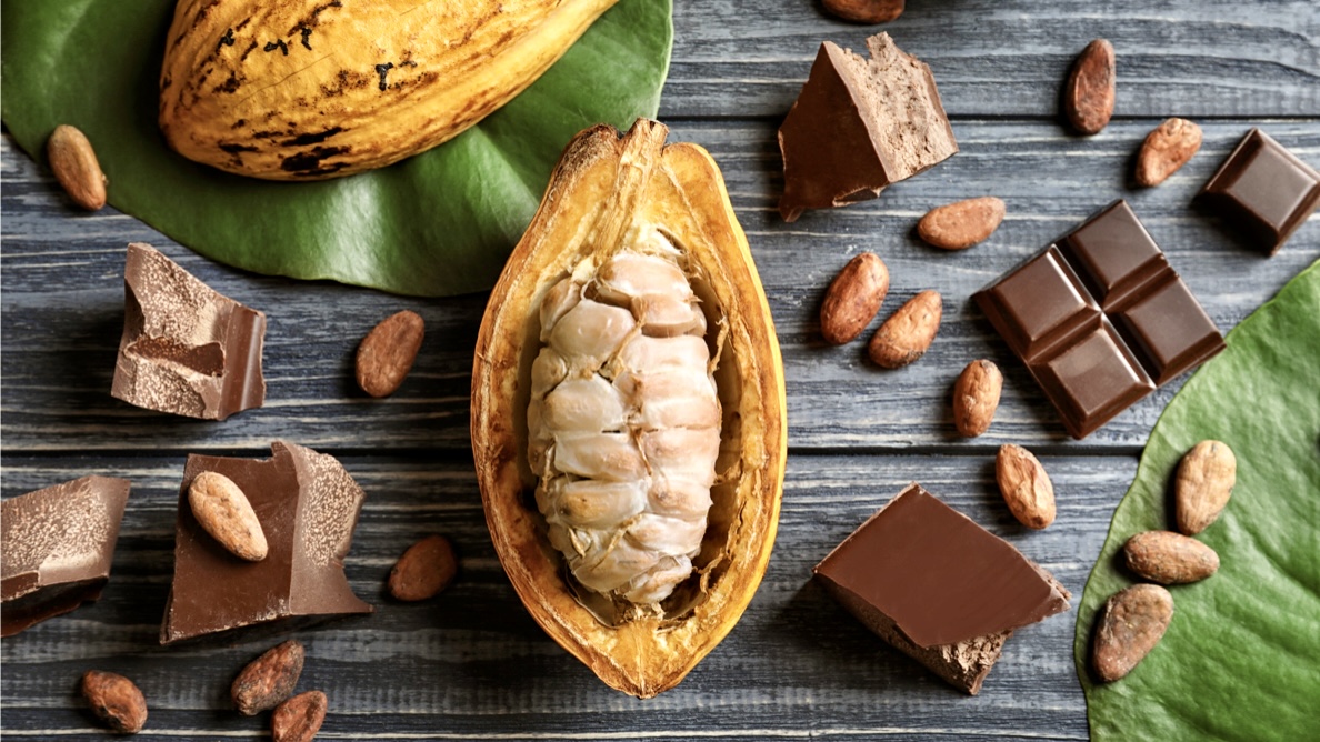 生産農家のエンパワーメントが進む「世界のカカオ、チョコレート市場のトレンド」 - AAIC Holdings